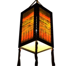 #5 Creative Painted Home Decor Hanging lantern Decorative Paper Lantern Lampshade