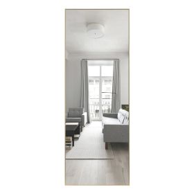 Modern Polystiren Full Length Mirror (Color: Gold)